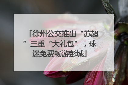 徐州公交推出“苏超”三重“大礼包”，球迷免费畅游彭城