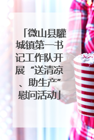 微山县驩城镇第一书记工作队开展“送清凉、助生产”慰问活动