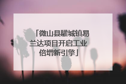 微山县驩城镇易兰达项目开启工业倍增新引擎