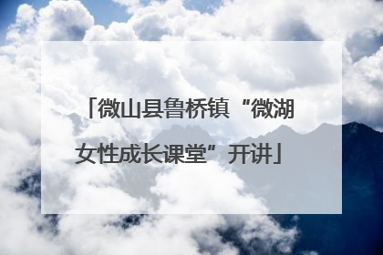 微山县鲁桥镇“微湖女性成长课堂”开讲