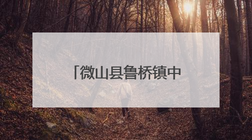 微山县鲁桥镇中心幼儿园举办“与‘粽’不同的六一”双节主题活动