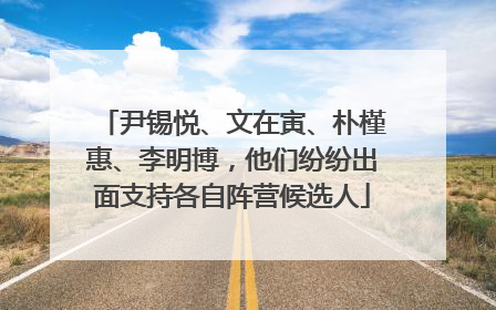 尹锡悦、文在寅、朴槿惠、李明博，他们纷纷出面支持各自阵营候选人