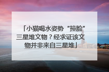 小猫喝水姿势“撞脸”三星堆文物？经求证该文物并非来自三星堆