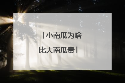小南瓜为啥比大南瓜贵