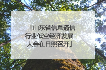 山东省信息通信行业低空经济发展大会在日照召开