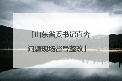 山东省委书记直奔问题现场督导整改