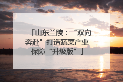 山东兰陵：“双向奔赴”打造蔬菜产业保障“升级版”