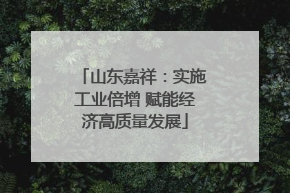 山东嘉祥：实施工业倍增 赋能经济高质量发展