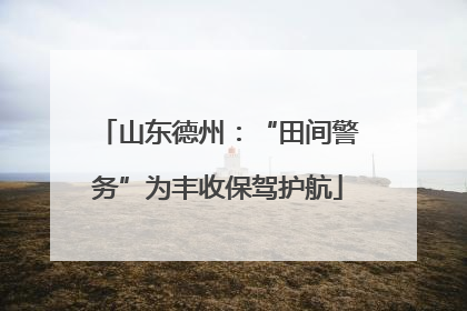 山东德州:“田间警务”为丰收保驾护航
