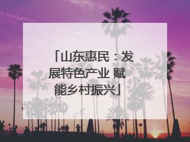 山东惠民：发展特色产业 赋能乡村振兴