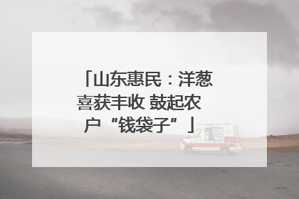 山东惠民：洋葱喜获丰收 鼓起农户“钱袋子”