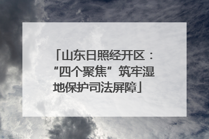 山东日照经开区：“四个聚焦”筑牢湿地保护司法屏障