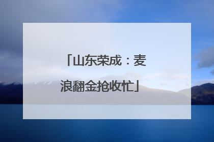山东荣成：麦浪翻金抢收忙