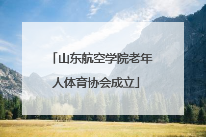 山东航空学院老年人体育协会成立