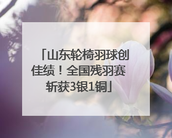 山东轮椅羽球创佳绩！全国残羽赛斩获3银1铜
