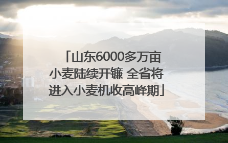 山东6000多万亩小麦陆续开镰 全省将进入小麦机收高峰期