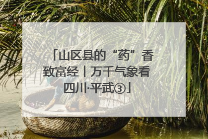 山区县的“药”香致富经丨万千气象看四川·平武③