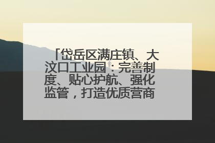 岱岳区满庄镇、大汶口工业园：完善制度、贴心护航、强化监管，打造优质营商“强磁场”
