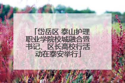 岱岳区 泰山护理职业学院校城融合暨书记、区长高校行活动在泰安举行