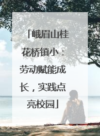 峨眉山桂花桥镇小：劳动赋能成长，实践点亮校园