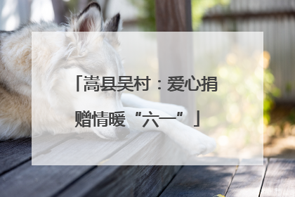 嵩县吴村：爱心捐赠情暖“六一”