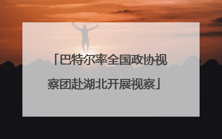 巴特尔率全国政协视察团赴湖北开展视察
