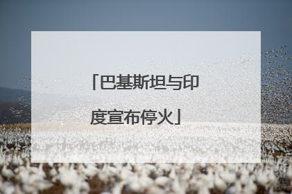 巴基斯坦与印度宣布停火