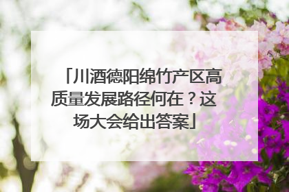 川酒德阳绵竹产区高质量发展路径何在？这场大会给出答案