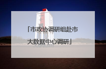 市政协调研组赴市大数据中心调研