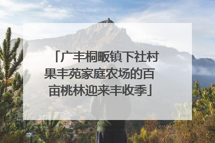 广丰桐畈镇下社村果丰苑家庭农场的百亩桃林迎来丰收季