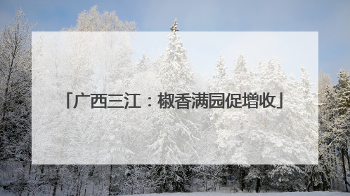 广西三江：椒香满园促增收