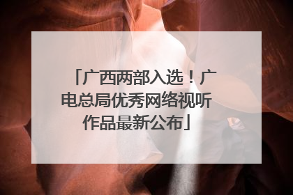 广西两部入选！广电总局优秀网络视听作品最新公布