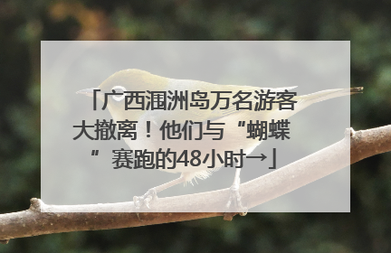 广西涠洲岛万名游客大撤离！他们与“蝴蝶”赛跑的48小时→