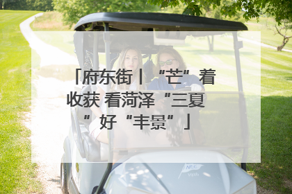 府东街丨“芒”着收获 看菏泽“三夏”好“丰景”