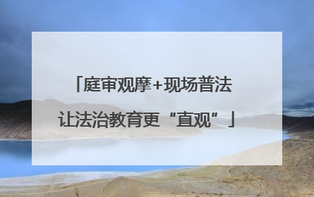庭审观摩+现场普法 让法治教育更“直观”