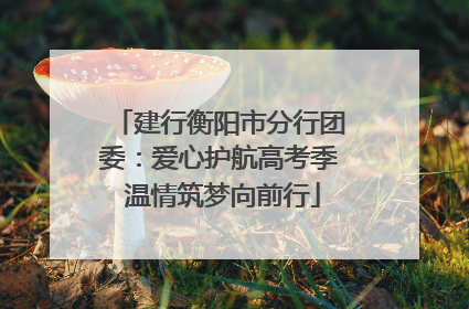 建行衡阳市分行团委：爱心护航高考季 温情筑梦向前行