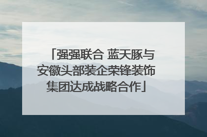 强强联合 蓝天豚与安徽头部装企荣锋装饰集团达成战略合作