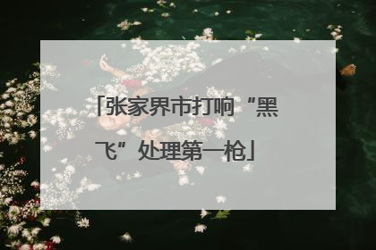 张家界市打响“黑飞”处理第一枪