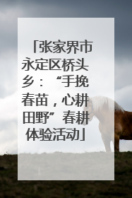 张家界市永定区桥头乡：“手挽春苗，心耕田野”春耕体验活动