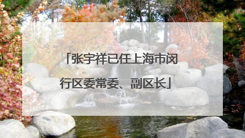 张宇祥已任上海市闵行区委常委、副区长