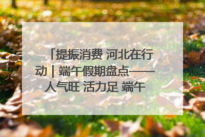 提振消费 河北在行动｜端午假期盘点——人气旺 活力足 端午经济“热浪”迭起