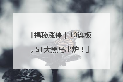 揭秘涨停｜10连板，ST大黑马出炉！
