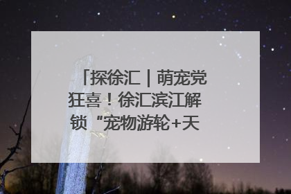 探徐汇｜萌宠党狂喜！徐汇滨江解锁“宠物游轮+天台乐园”双玩法