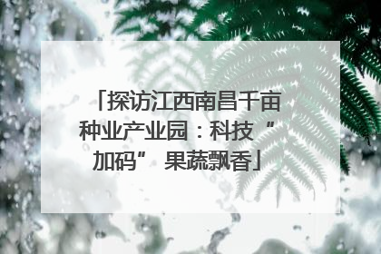 探访江西南昌千亩种业产业园：科技“加码” 果蔬飘香