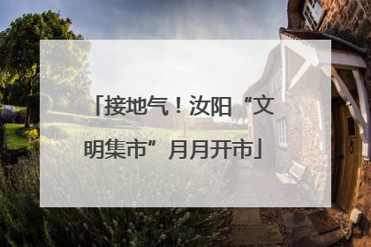 接地气！汝阳“文明集市”月月开市
