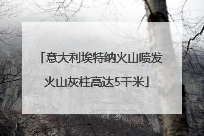 意大利埃特纳火山喷发 火山灰柱高达5千米