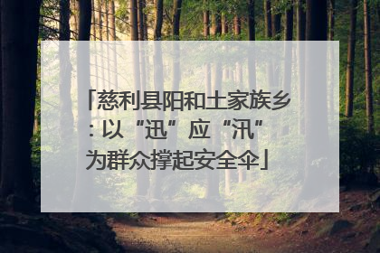 慈利县阳和土家族乡：以“迅”应“汛” 为群众撑起安全伞