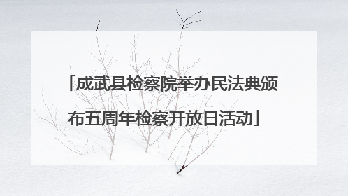 成武县检察院举办民法典颁布五周年检察开放日活动