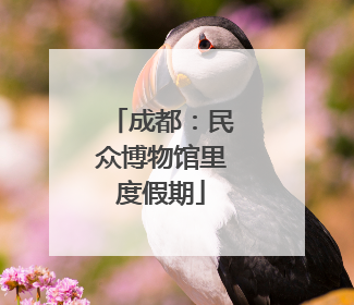 成都：民众博物馆里度假期