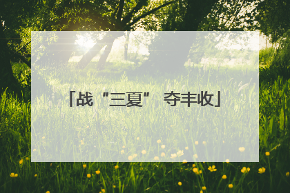 战“三夏” 夺丰收